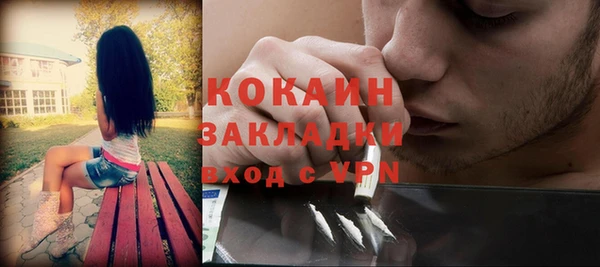 бошки Бронницы