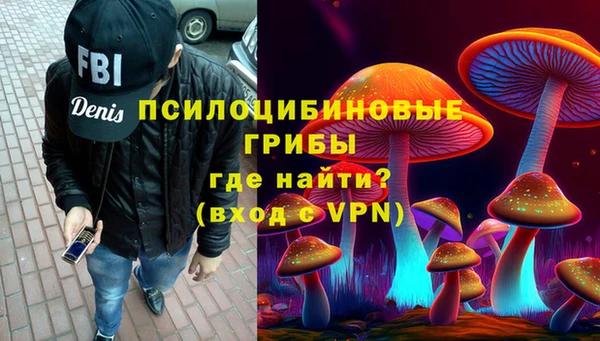 PSILOCYBIN Богородицк