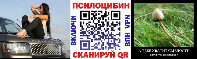 Купить закладки  Баксан  Псилоцибиновые грибы Psilocybe 